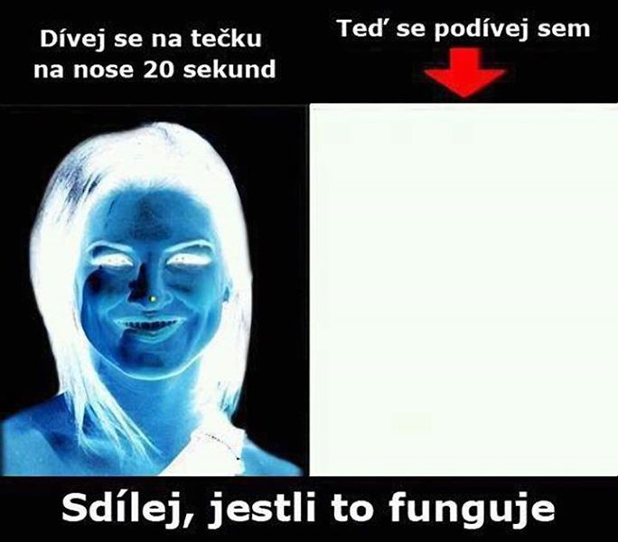 fotograficka pamat