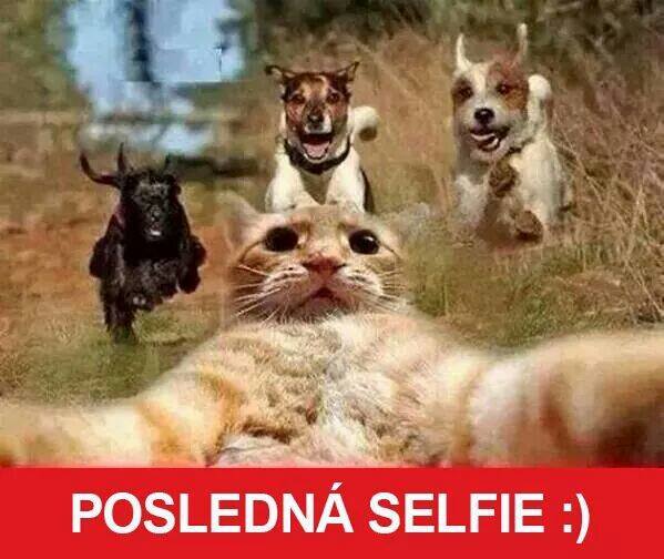 posledna slefie