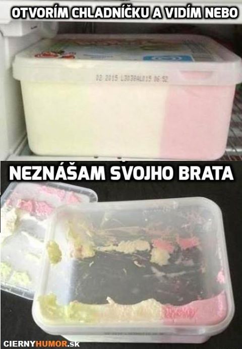 zjedena zmrzlina