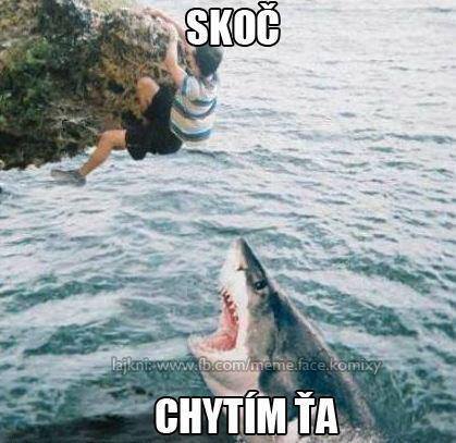 skoc