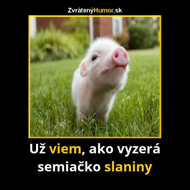 semiacko
