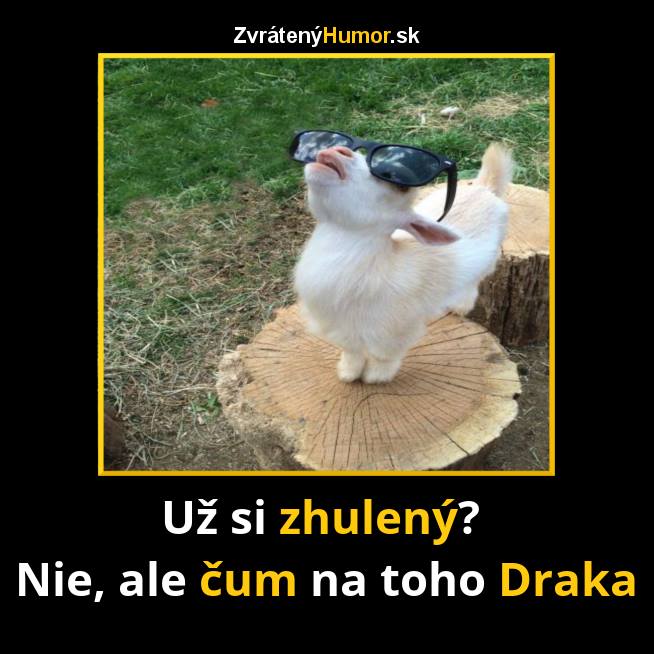 okuliare