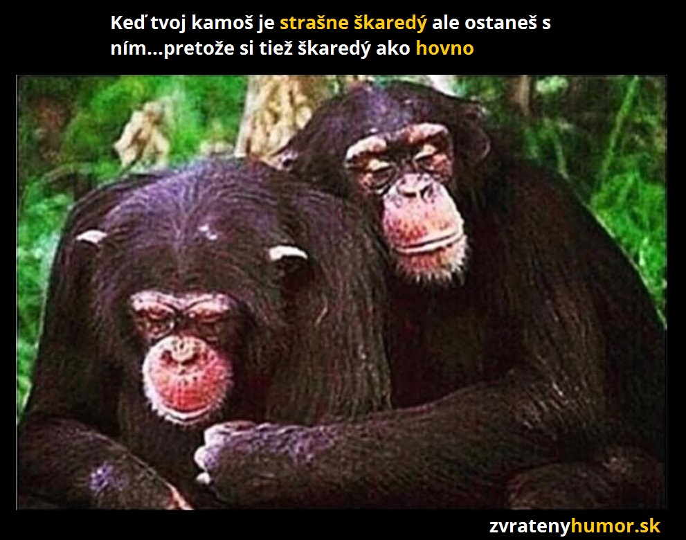 opice