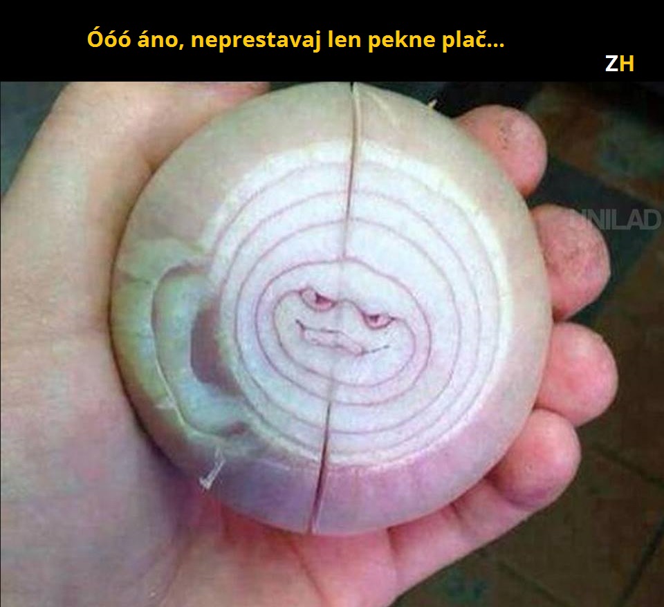 cibula