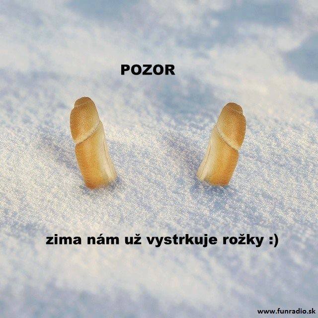 rozky