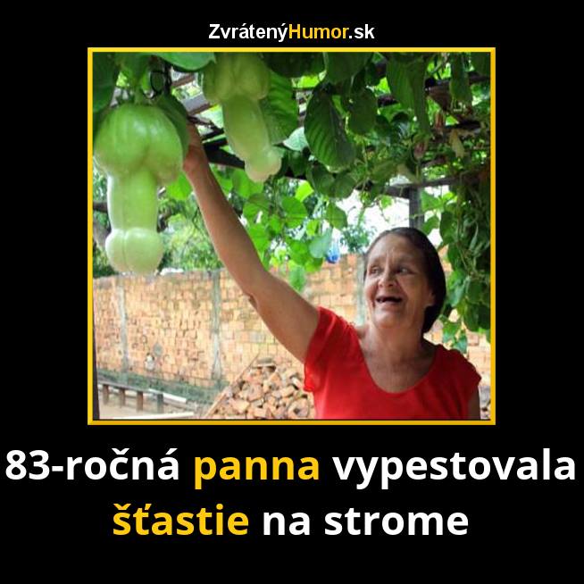 stastie