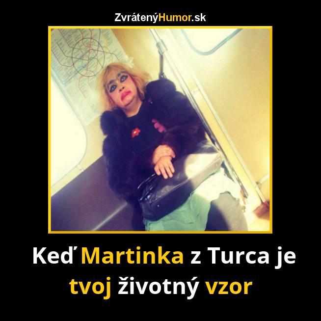 vzor