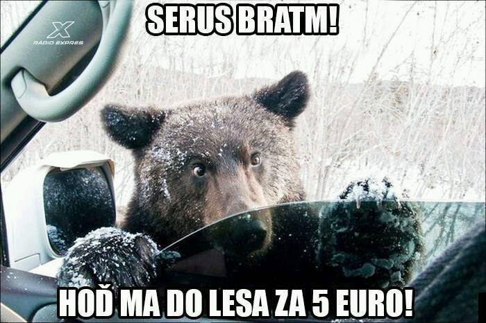 medved na okne