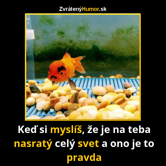 Rybka