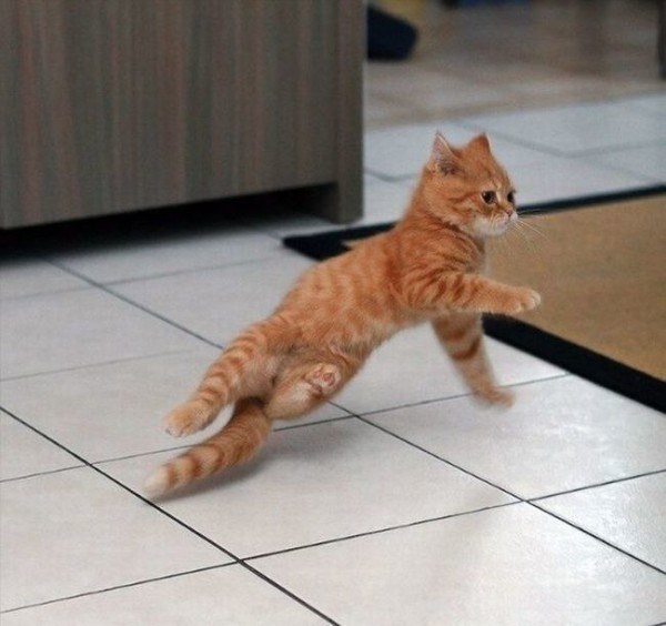 breakdance macka