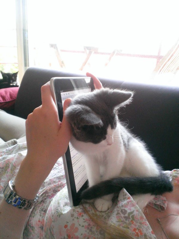 tablet