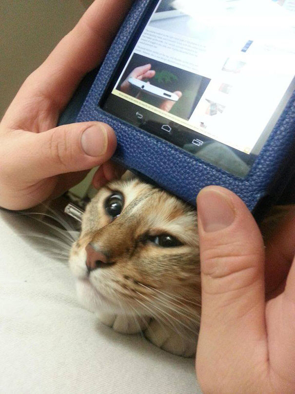 kindle