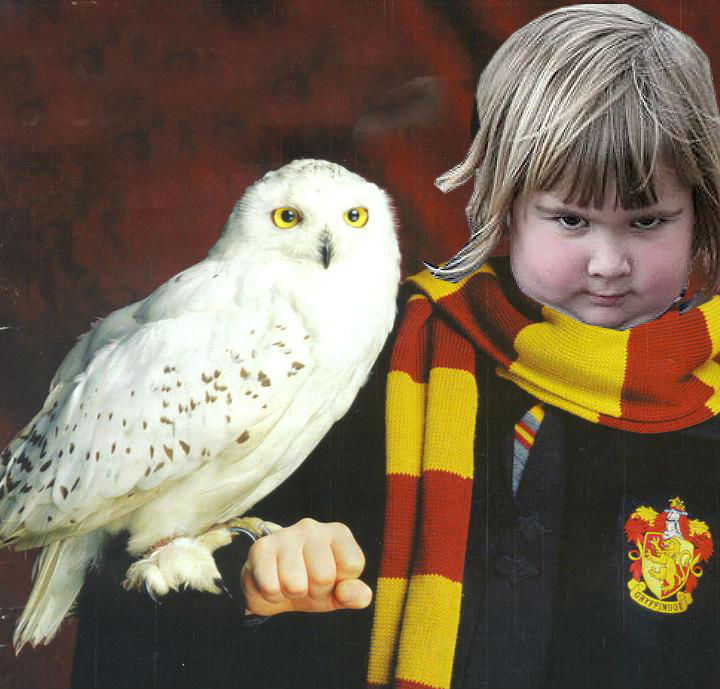 harry potter