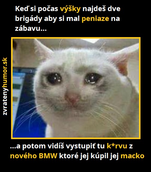 smutna macka