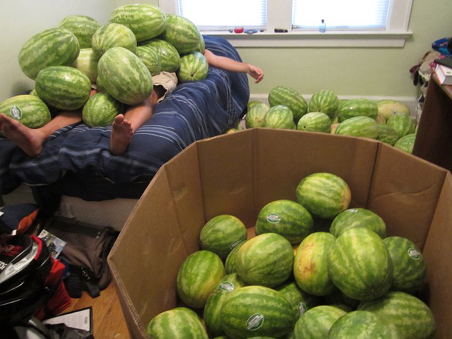 melon