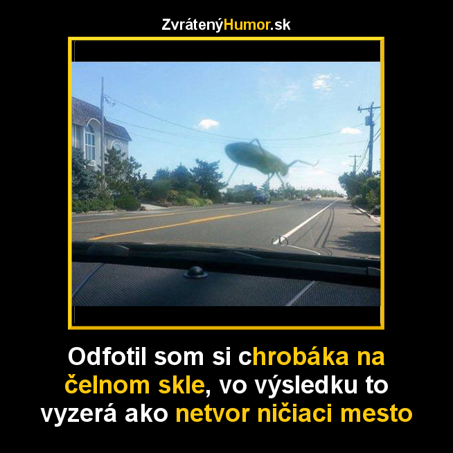 chrobak