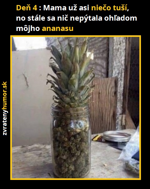 ananas