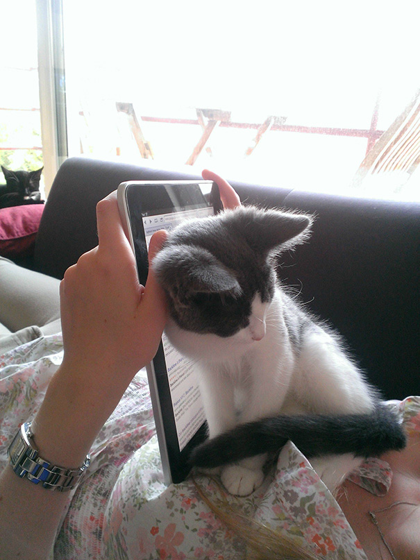 kindle