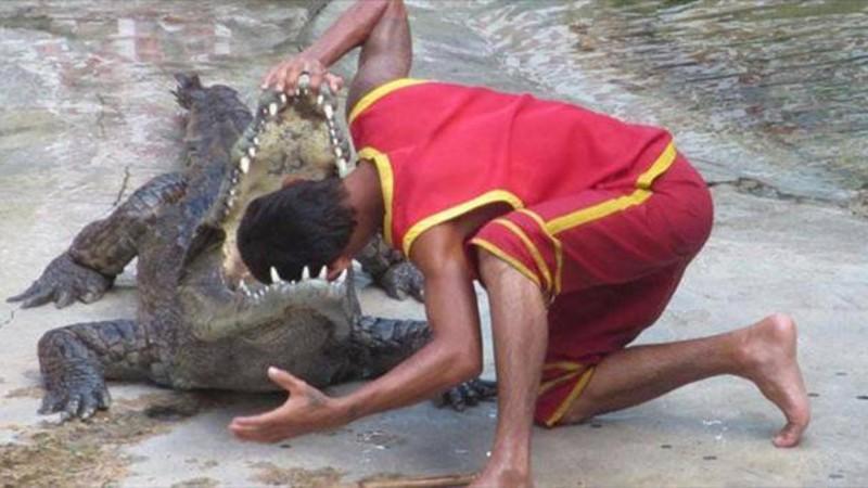 krokodil