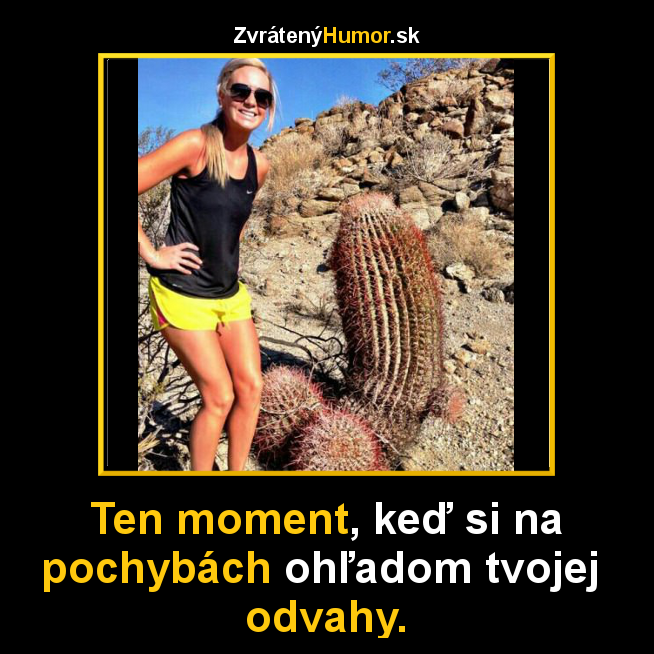 kaktus