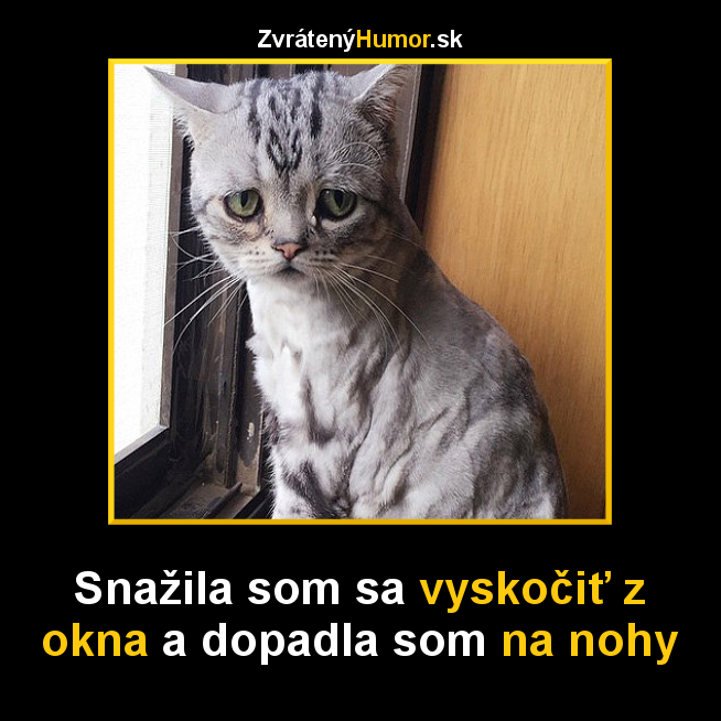 na nohy