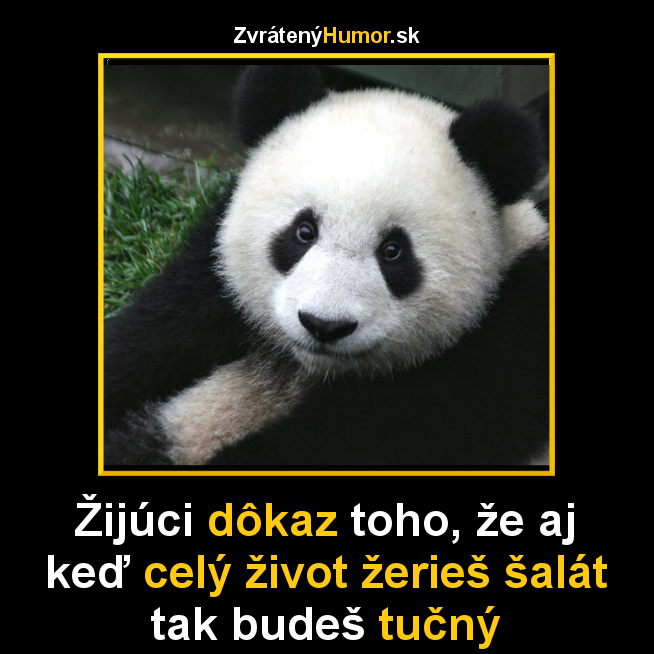 panda