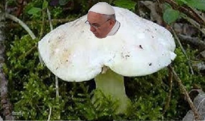 huba