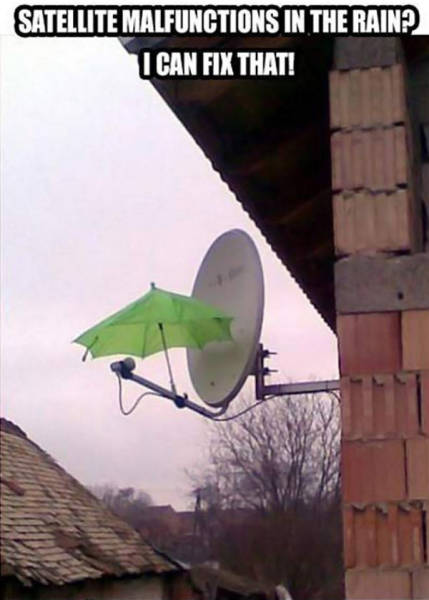 dazdnik