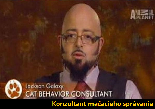 konzultant