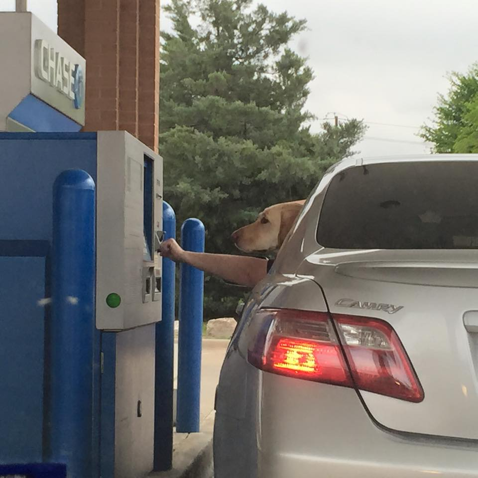 auto