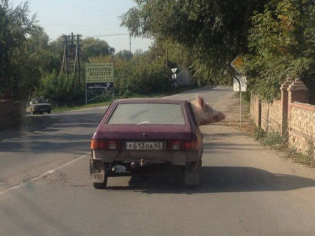 auto