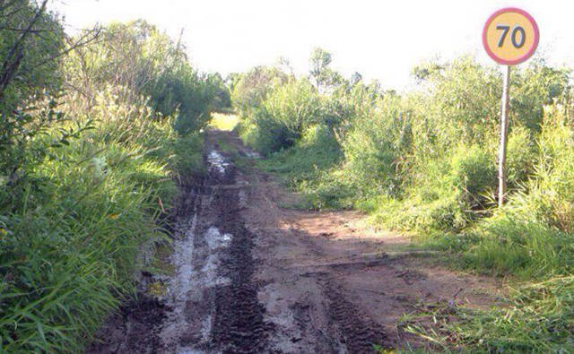 kolaje
