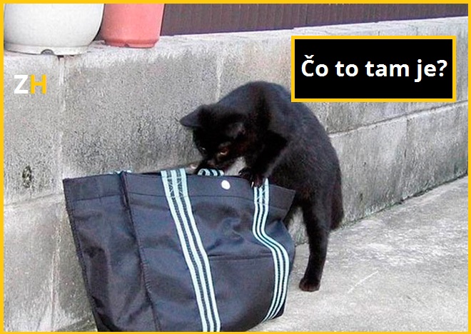 taska