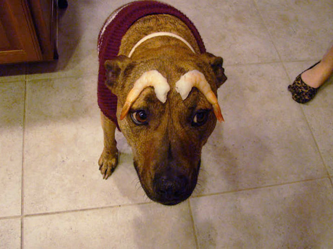 obocie
