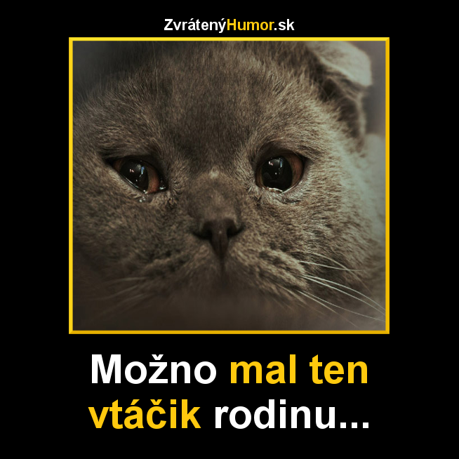 vtacik