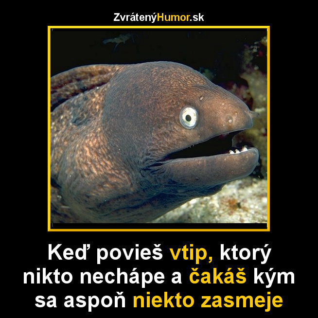 vtip