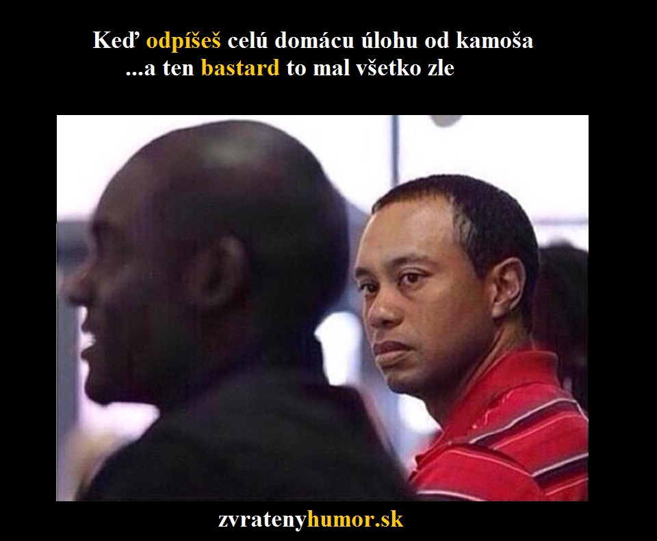 zabavny obrazok 5