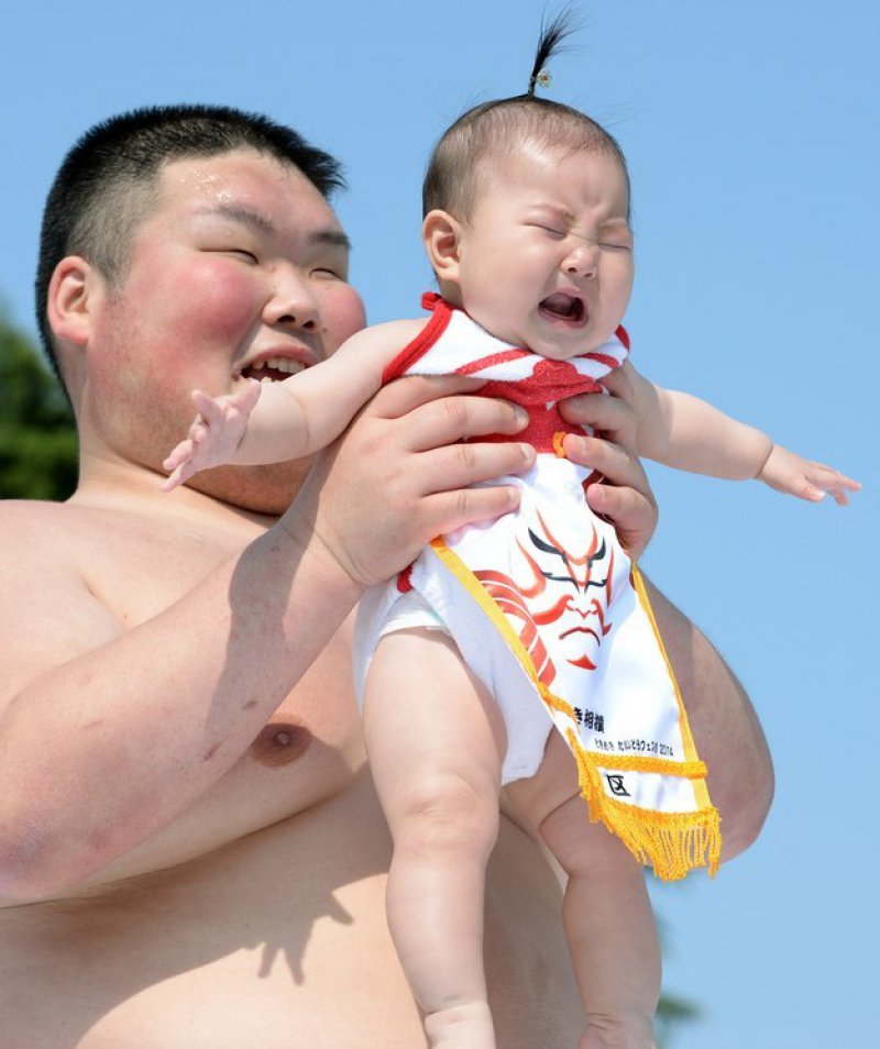 1 sumo