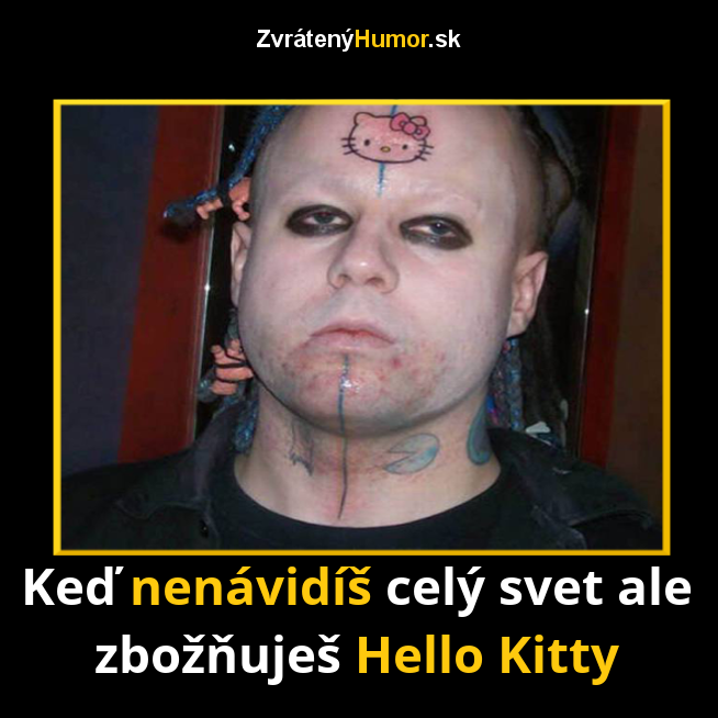 102.halloHitty