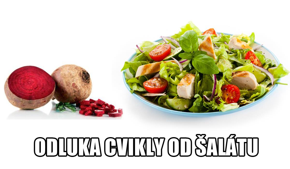 slovne hracky 5