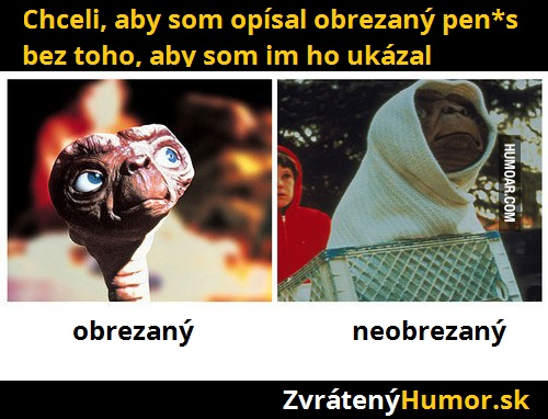 137.obrezaný