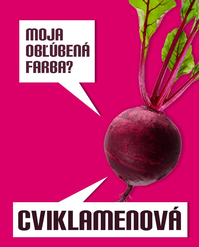 slovne hracky 1
