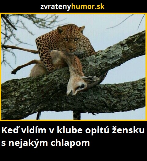 leopard