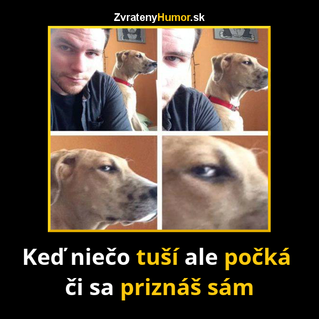 Niečo tu nesedí