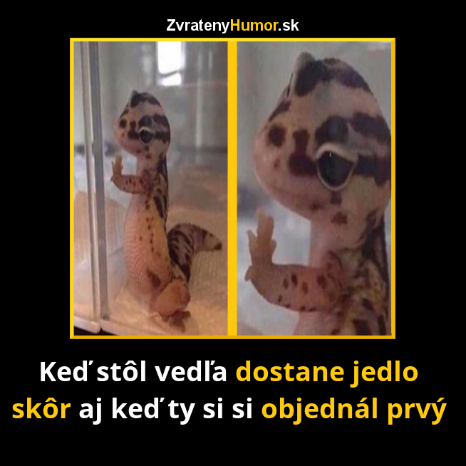 Chce to čas