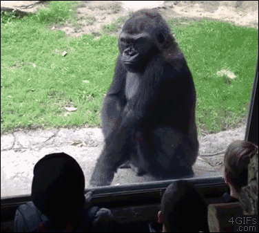 vylet do zoo 2