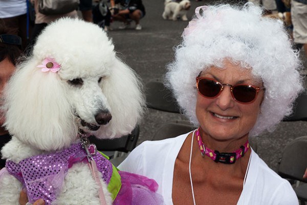 majitelia a zvierata 10