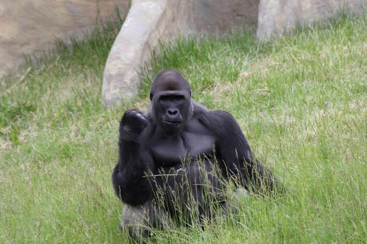 vylet do zoo 12