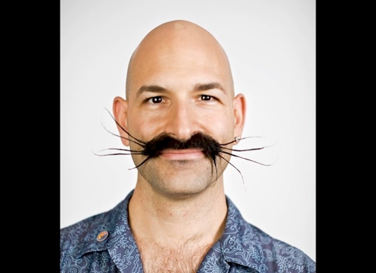 6. The Whiskers