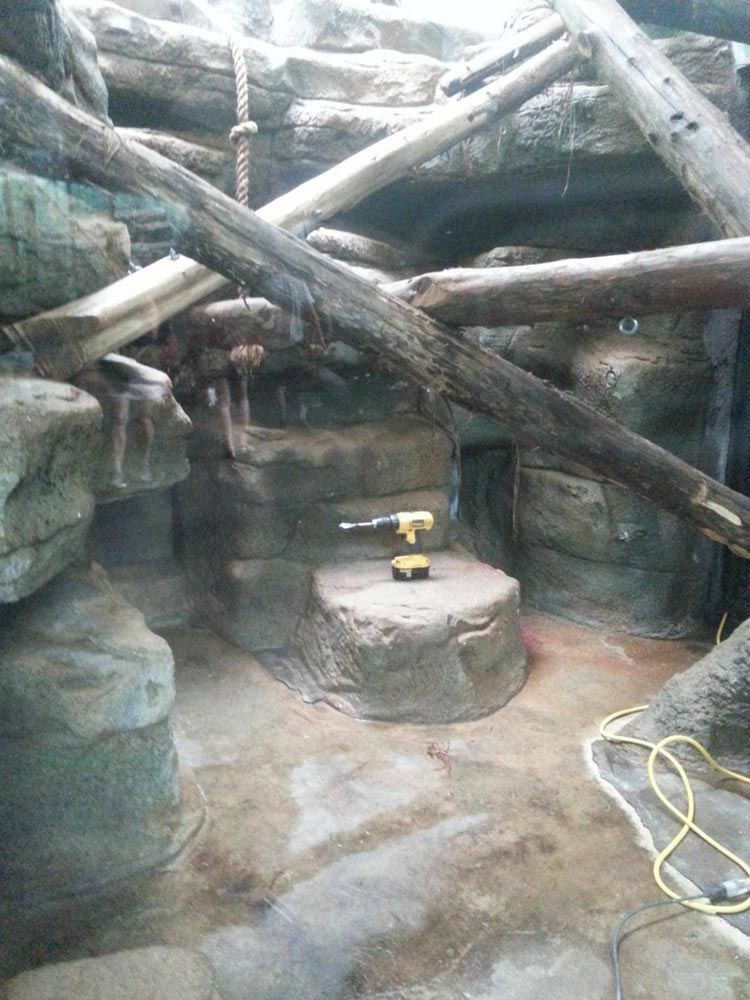 vylet do zoo 6